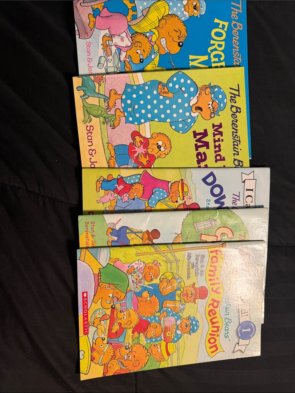 Children's Book Set -The Berenstain Bears